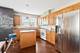 10201 Camden Unit 1, Bridgeview, IL 60455