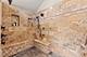 558 Cole, South Elgin, IL 60177