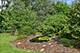 630 Fairview, Schaumburg, IL 60193