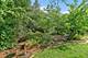 630 Fairview, Schaumburg, IL 60193