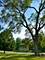 947 Ridgeland, Mundelein, IL 60060