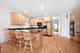 1746 W Byron, Chicago, IL 60613