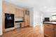 1746 W Byron, Chicago, IL 60613