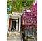 5148 Cleveland, Skokie, IL 60077