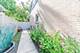 3533 Prairie, Brookfield, IL 60513