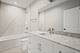 1036 Lake Unit 4S, Oak Park, IL 60301