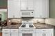 1134 S Scoville, Oak Park, IL 60304