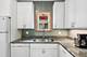 1134 S Scoville, Oak Park, IL 60304