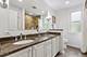 1134 S Scoville, Oak Park, IL 60304