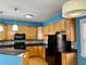 615 South Unit B, Oak Park, IL 60302
