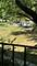 14008 Waterbury Unit 1203, Crestwood, IL 60418