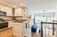 1328 S Federal Unit G, Chicago, IL 60605