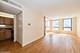 260 E Chestnut Unit 1211, Chicago, IL 60611