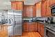 74 E Pershing Unit 2, Chicago, IL 60653