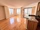 1111 S Wabash Unit 705, Chicago, IL 60605