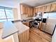 1111 S Wabash Unit 705, Chicago, IL 60605