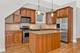 1459 W Melrose Unit 1N, Chicago, IL 60657
