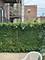 6048 N Washtenaw Unit G, Chicago, IL 60659