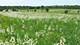 1439 Huntcliff, Bartlett, IL 60103
