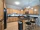 17200 Oak Park Unit 203, Tinley Park, IL 60477