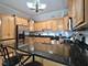 17200 Oak Park Unit 203, Tinley Park, IL 60477