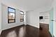 1255 S State Unit 1101, Chicago, IL 60605