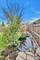 1807 Cecily, Joliet, IL 60435