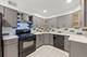 339 Home Unit 3B, Oak Park, IL 60302