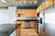 1305 S Michigan Unit 1513, Chicago, IL 60605