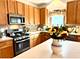 39W507 Newton, Geneva, IL 60134