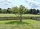 39W507 Newton, Geneva, IL 60134