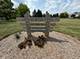 39W507 Newton, Geneva, IL 60134