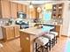 39W507 Newton, Geneva, IL 60134