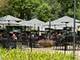 39W507 Newton, Geneva, IL 60134