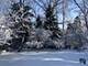 8N681 Edgewood, Elgin, IL 60124