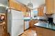1062 W Columbia, Chicago, IL 60626