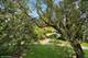 1406 Shore Unit D2, Wheeling, IL 60090