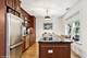 713 Mulford Unit 1A, Evanston, IL 60202