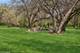 940 Holbrook Unit 34C, Homewood, IL 60430