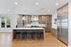1735 Longvalley, Glenview, IL 60025