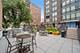 21 W Goethe Unit 16E, Chicago, IL 60610