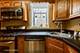 2302 W Addison, Chicago, IL 60618