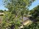 1810 Hemlock Unit 304, Schaumburg, IL 60173