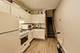 262-64 Spring, Elgin, IL 60120