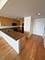 1515 S Prairie Unit 617, Chicago, IL 60605
