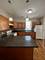1801 W 21st Unit 0, Chicago, IL 60608
