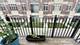 3346 S Justine, Chicago, IL 60608