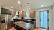 3346 S Justine, Chicago, IL 60608
