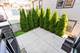 2108 W 18th Unit 2, Chicago, IL 60608