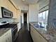 1720 S Michigan Unit 1401, Chicago, IL 60616